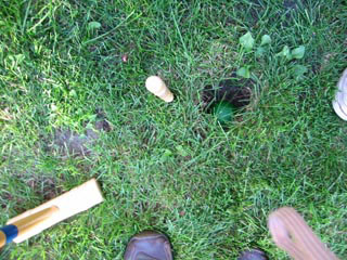 100-0075_IMG