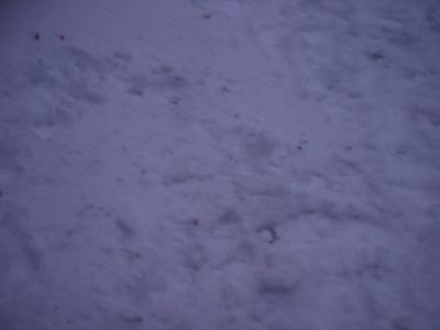207-0728_IMG