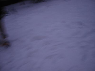 207-0729_IMG