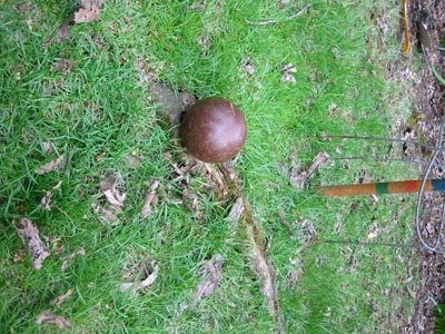 220-2067_IMG