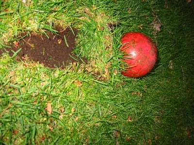 220-2085_IMG