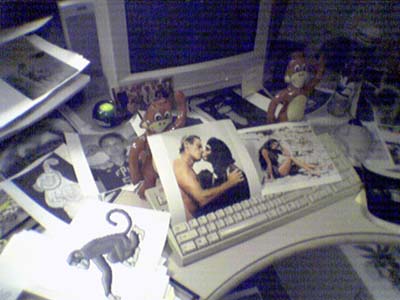 Picture002