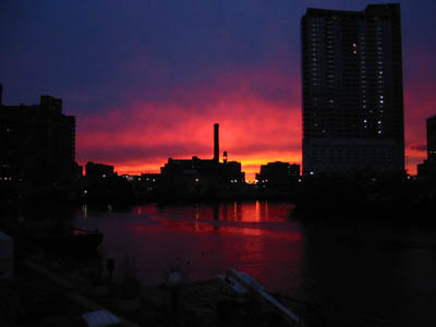 103-0356_IMG