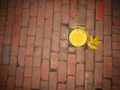 105-0568_IMG