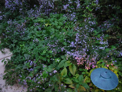 105-0573_IMG