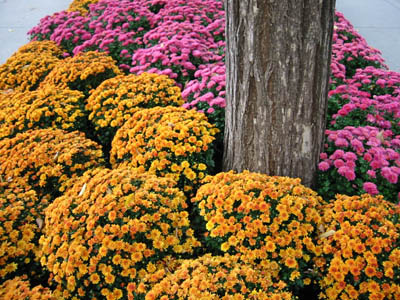 106-0601_IMG