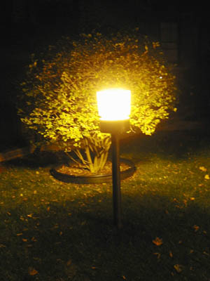 107-0708_IMG
