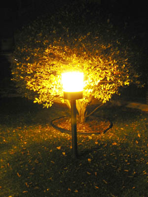 107-0709_IMG