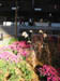 107-0745_IMG