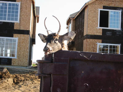 107-0761_IMG