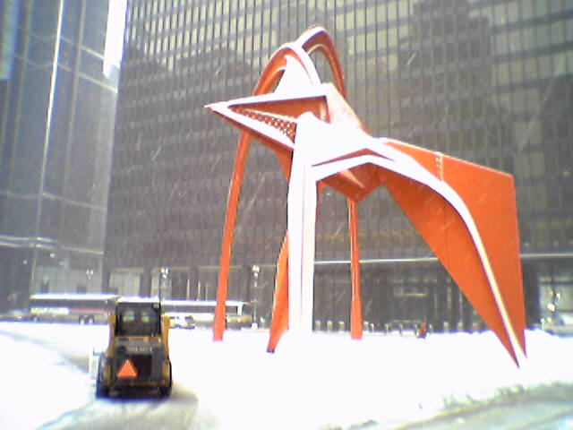 The white flamingo