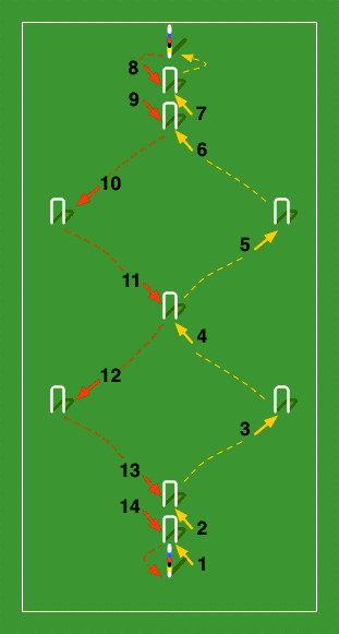 Diagram of a traditional American backyard croquet course in a double-diamond pattern