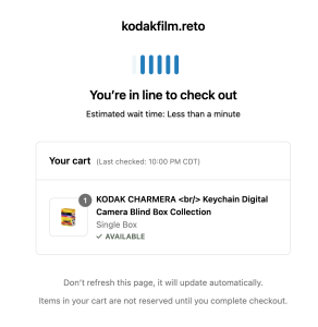 Screenshot of Kodakfilm.retro waiting screen. "You're in line to check out"