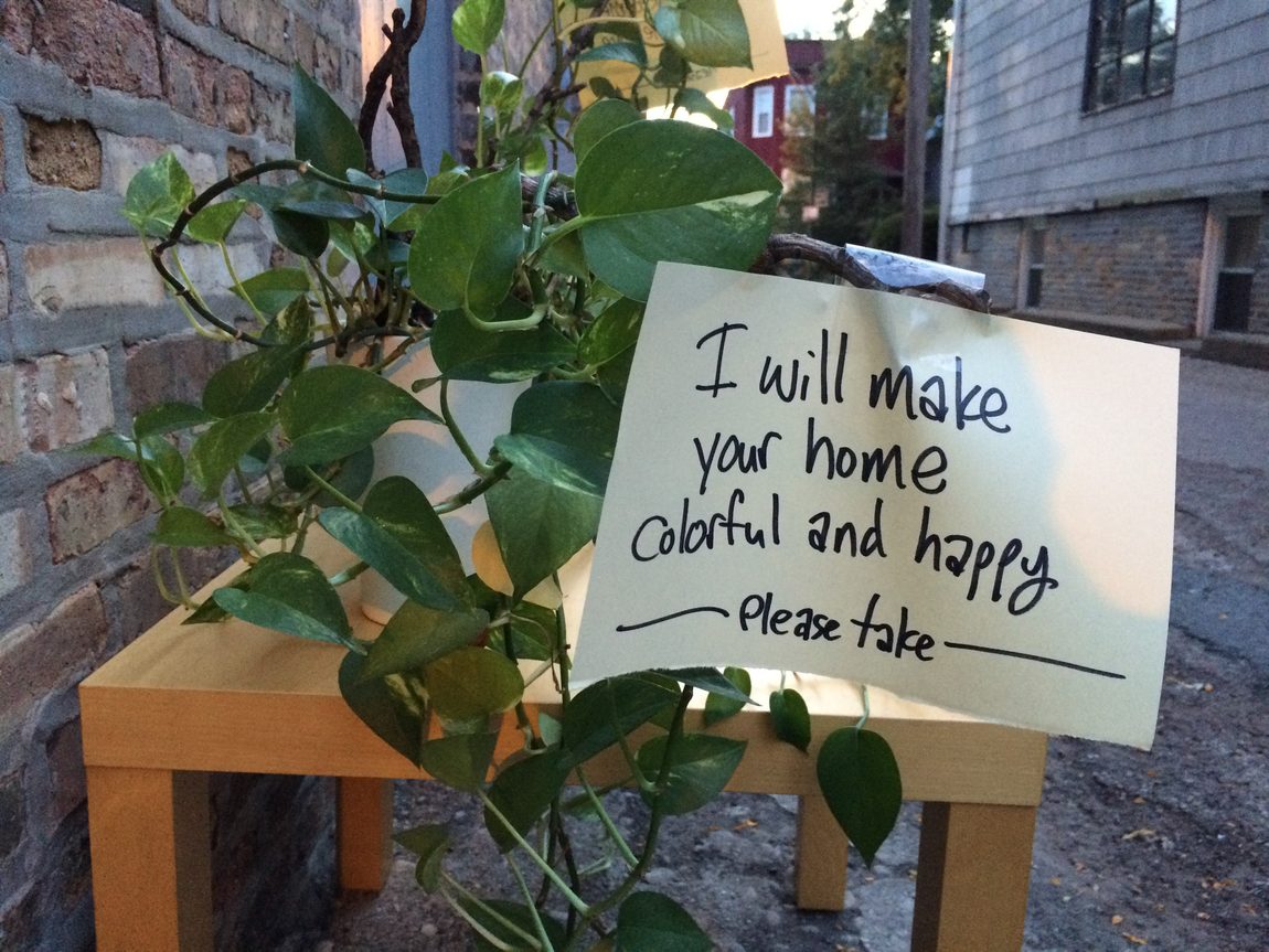 Houseplant in Chicago alley with a handwritten sign taped to the plant: “I will make your home colorful and happy. Please take.”